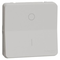 Двухполюсный выключатель Schneider Electric MUR39033 IP55 (белый)