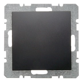 Заглушка з центральною панеллю без цоколя, антрацит Berker