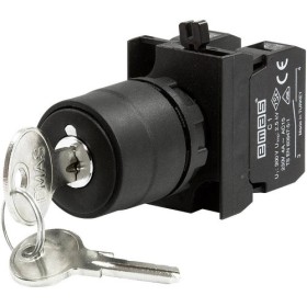 Кнопка EMAS CP101AC30 с ключом вынимающимся во всех положениях (1НО+1НЗ) IP65