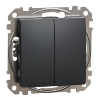 Кнопковий двоклавішний вимикач Schneider Electric Sedna Design & Elements чорний SDD114118