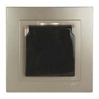 Розетка Nilson Touran золото 1-на з заземленням з кришкою ( 24151018 )