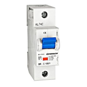 Автоматичний вимикач підвищеного струму BR9 1P 100А C, Schrack Technik
