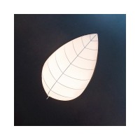 Світильник стельовий Imperium Light 72558.01.01 Leaf E27 5x20W IP20