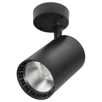 Настенно-потолочный поворотный светильник Delux TL02S 30Вт 4000K 36° черный (90015903)