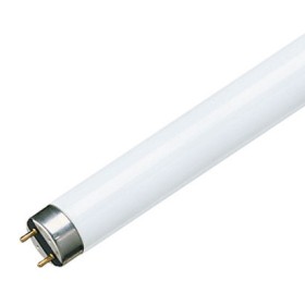 Лампа Master TL-D Super 80 18Вт/830 Philips G13