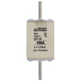 Запобіжник Аско-Укрем NH1 100A gG (A0050010028)