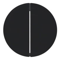 Клавіші для 2-клавішного вимикача чорна Berker Rx