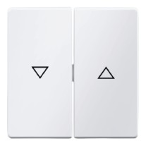 Двоклавішна клавіша вимикача Berker Qx 16256089 із символом «Стрілка» (полярна білизна)