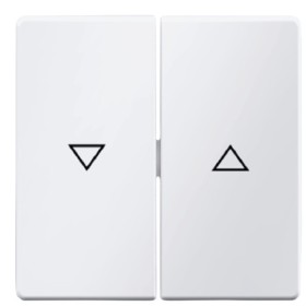 Двоклавішна клавіша вимикача Berker Qx 16256089 із символом «Стрілка» (полярна білизна)