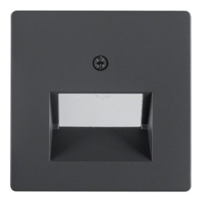Накладка для двойной розетки UAE антрацит Berker Q.х