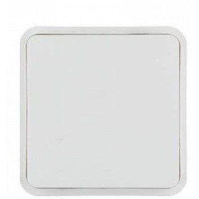 Клавіша одинарна полярна білизна, Berker W.1