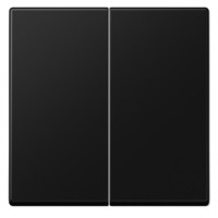 Двойная клавиша Jung A A595SWM черный