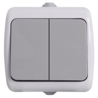 Двухклавишный выключатель E.Next e.aqua.1112.grg наружный монтаж IP44 серый (s035062)