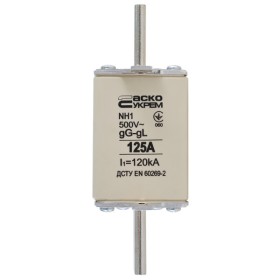 Запобіжник Аско-Укрем NH1 125A gG (A0050010029)