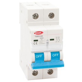 Модульный автоматический выключатель TOSUNlux TSB3-63 2P 6А C 6кА (6940151023777)