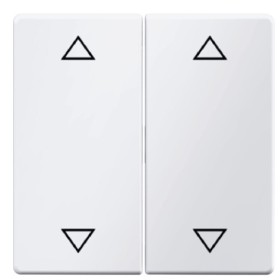 Двоклавішна клавіша вимикача Berker Qx 16446089 із символом «Стрілки» (полярна білизна)
