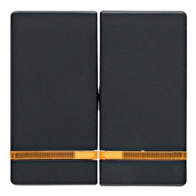 Клавіші для 2-клавішного вимикача з підсвічуванням антрацит Berker Q.х