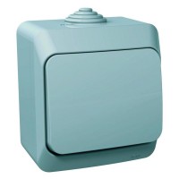 Выключатель 1-клавишный серый Cedar Plus