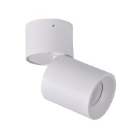 Светильник поворотный, спот Goldlux 314062 Astra GU10 1x10W IP20 белый