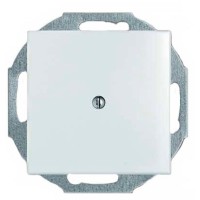 Заглушка ABB Basic 55 2538-94-507 (альпійський білий)
