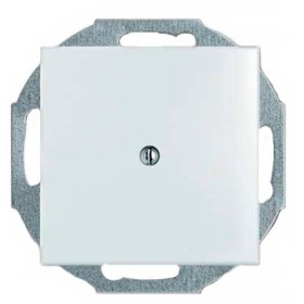 Заглушка ABB Basic 55 2538-94-507 (белая)