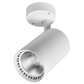 Настінно-стельовий поворотний світильник Delux TL02S 30Вт 4000K 36° білий (90015902)