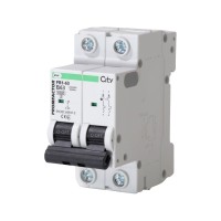 Автоматический выключатель Promfactor CITY FB1-63 2P B 63A 6кА (FB1CIB2063)