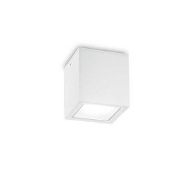 Вуличний світильник Ideal Lux 251561 Techo