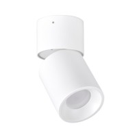 Точковий світильник Goldlux 314239 Nixa GU10 1x10W IP20 WH