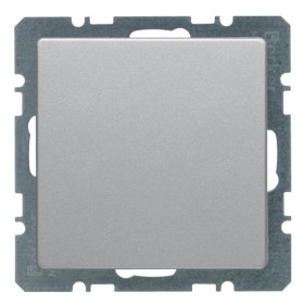 Заглушка з центральною панеллю алюмінію Berker Q.х