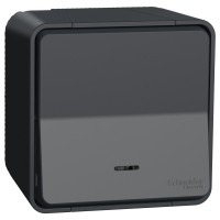 Накладний вимикач Schneider Electric MUR35024 з підсвічуванням IP55 (чорний)