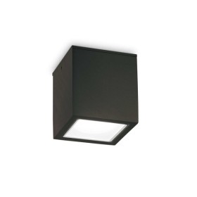 Вуличний світильник Ideal Lux 251530 Techo