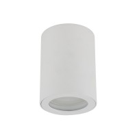 Точковий світильник TK Lighting 10932 Ligno GU10 1x10W IP44 білий