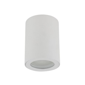 Точковий світильник TK Lighting 10932 Ligno GU10 1x10W IP44 білий