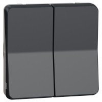 Проходной 2-клавишный переключатель Schneider Electric MUR35019 (сх.6+6) IP55 (черный)