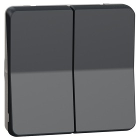 Проходной 2-клавишный переключатель Schneider Electric MUR35019 (сх.6+6) IP55 (черный)
