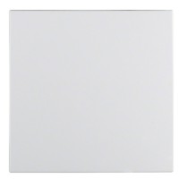 Клавіша одинарна, полярна білизна матова, Berker S.1/B.3/B.7