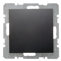 Заглушка з центральною панеллю з цоколем, антрацит Berker