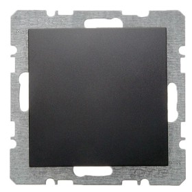 Заглушка з центральною панеллю з цоколем, антрацит Berker