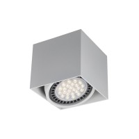 Точковий світильник Zuma Line ACGU10-114-N Box GU10 ES111 1x15W IP20 білий (5905316608276)