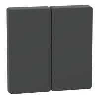 Подвійна клавіша Schneider Electric D-Life MTN3400-6034 антрацит