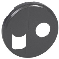 Накладка RJ45+TV розетки Legrand Celiane (067939) (графіт)