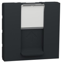 Накладка для розетки RJ45 Schneider Electric NU941154 2М (антрацит)