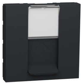 Накладка для розетки RJ45 Schneider Electric NU941154 2М (антрацит)