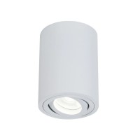 Точковий світильник Oledim 7771618 TS33W ALU GU10 IP20 білий