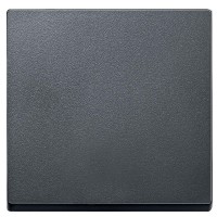 Клавіша вимикача SYSTEM M антрацит Merten, MTN433114