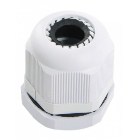 Сальник Аско-Укрем PG21 (A0150050007)