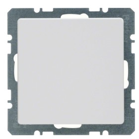 Заглушка з центральною панеллю полярна білизна Berker Q.х