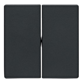 Клавіші для 2-клавішного вимикача антрацит Berker Q.х