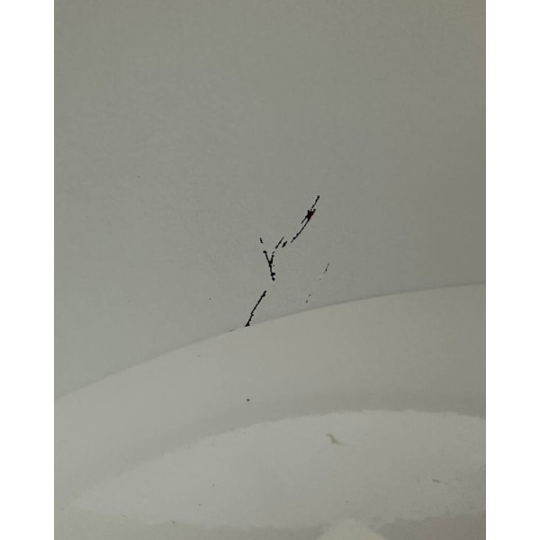 Підвісний світильник, люстра Nowodvorski 311230 Satellite M E27 7x25W IP20 чорний - фото №2